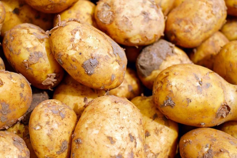 生土豆祛斑面膜怎么做土豆祛斑面膜的种类有哪些